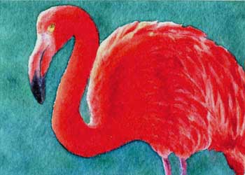 Go Big Red Linda Smulka Madison WI watercolor & colored pencil NFS